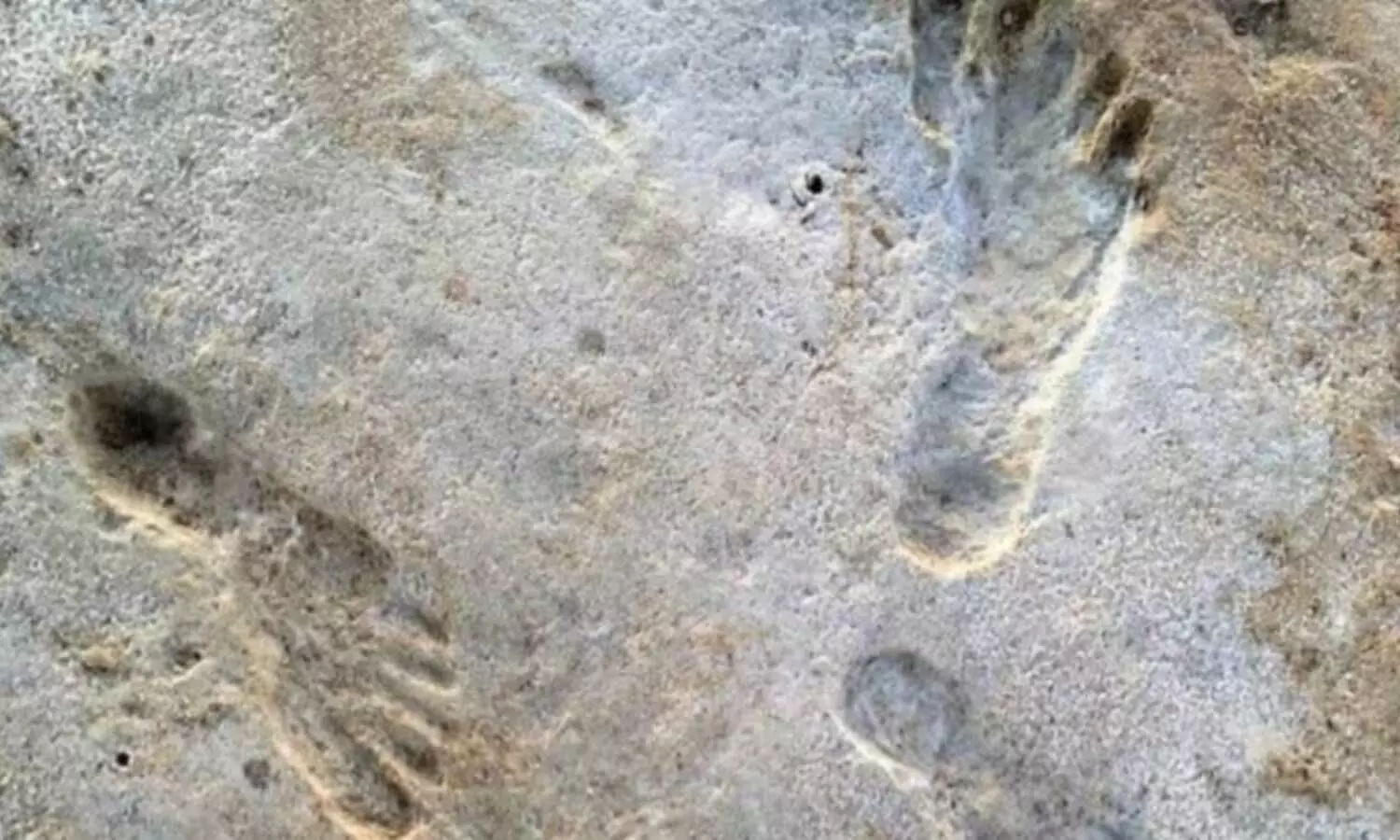 Old Footprints : లక్ష ఏళ్ల నాటి పాదముద్రలను కనుగొన్న శాస్త్రవేత్తలు